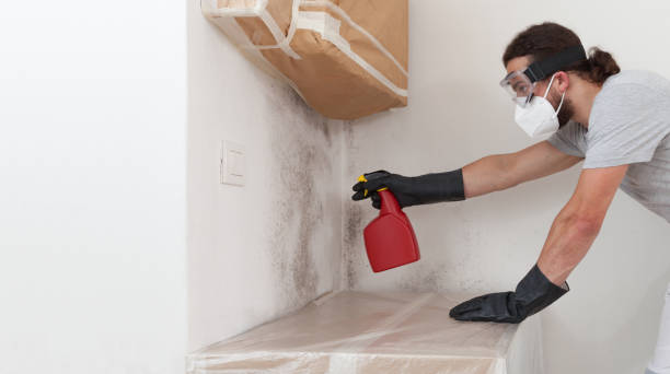 Professional Basement Mold Remediation technician working in Boynton Beach, FL